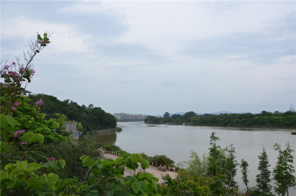 國(guó)務(wù)院：聚焦企業(yè)關(guān)切，進(jìn)一步推動(dòng)優(yōu)化營(yíng)商環(huán)境政策落實(shí)